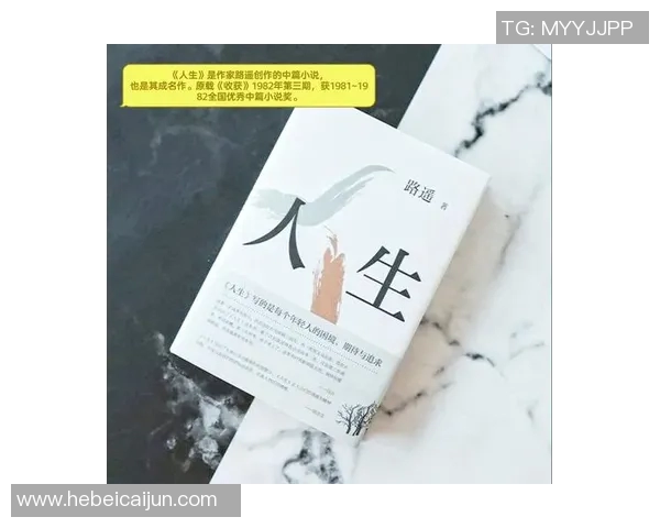 张帆：从平凡到卓越的奋斗历程与人生感悟分享