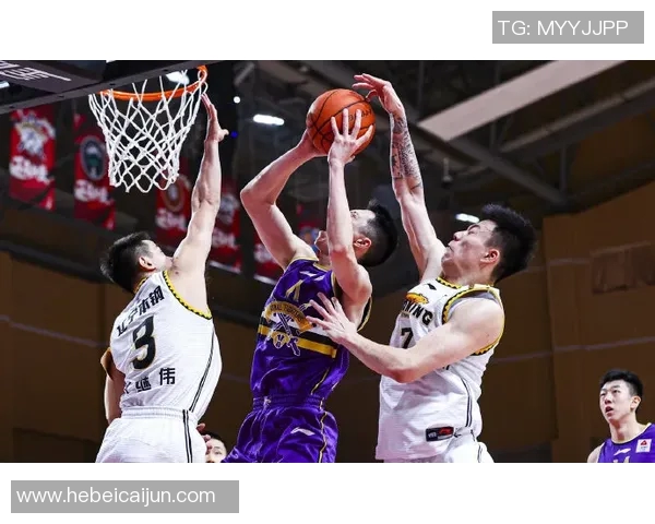 辽宁对阵北控精彩直播全程回顾与赛后分析尽在这里