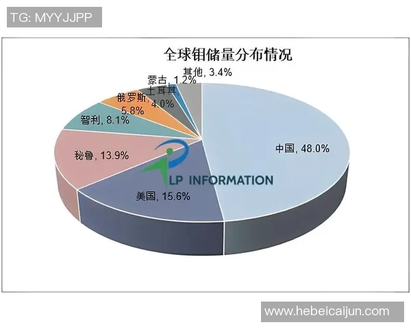 探索欧米卡斯比的独特魅力与全球影响力的深度解析与展望