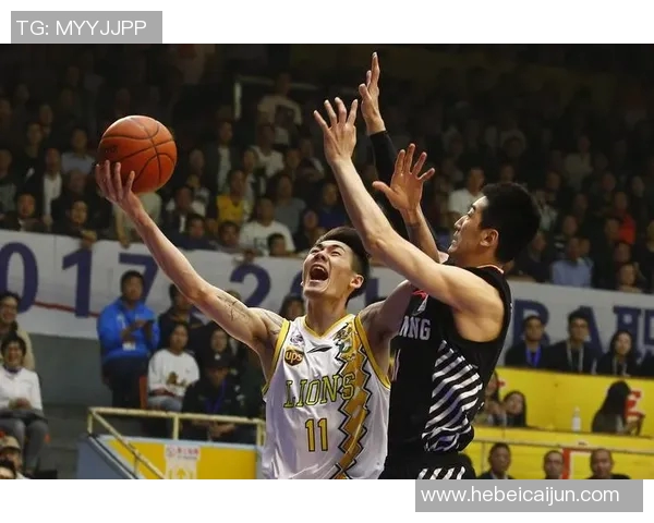 刘铮的奋斗历程与篮球梦想如何在风雨中绽放光芒