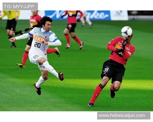 新泻天鹅迎战大阪樱花期待精彩对决揭开新赛季的序幕