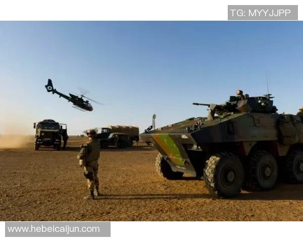 马里与法国在20世纪的交锋与合作历史回顾