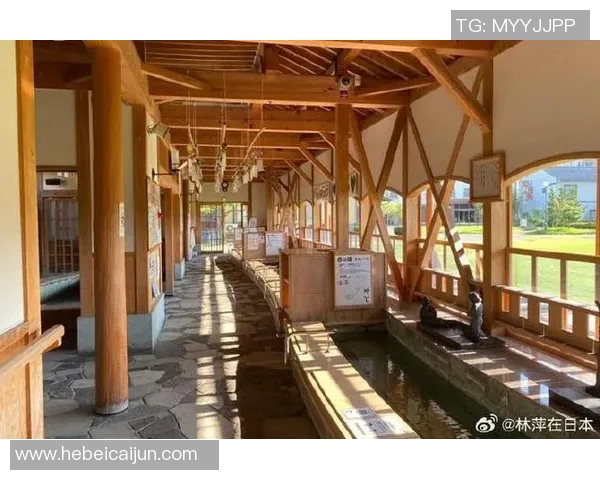 枥木县与群马县温泉的魅力对决探秘日本温泉文化的独特魅力与体验